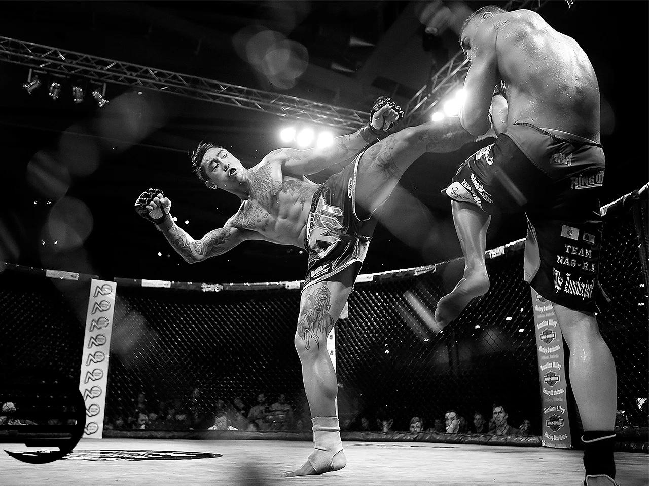 Tout savoir sur le MMA ou Mixed Martial Arts - News of Marseille