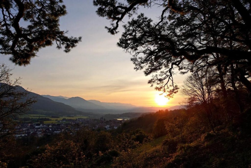 Ce village de Haute-Savoie garde un bois ancien où s’entremêlent histoire et nature