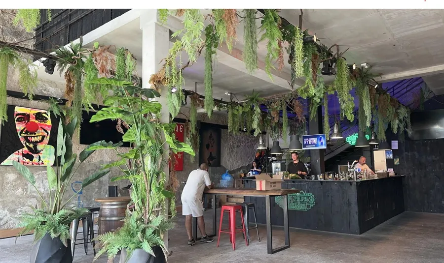 La Voûte Virgo, bar à Marseille